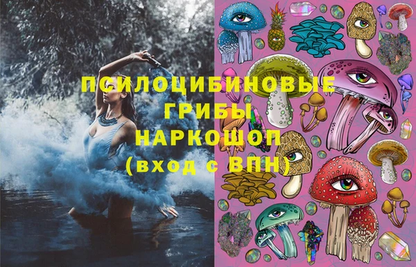 СК Абинск