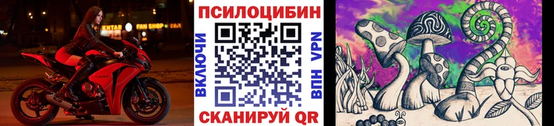 гидра ONION  Ясный  Псилоцибиновые грибы GOLDEN TEACHER 